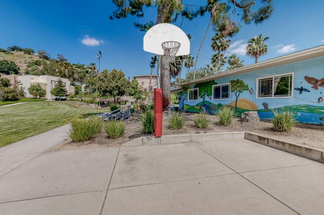 Basketball hoop on campus